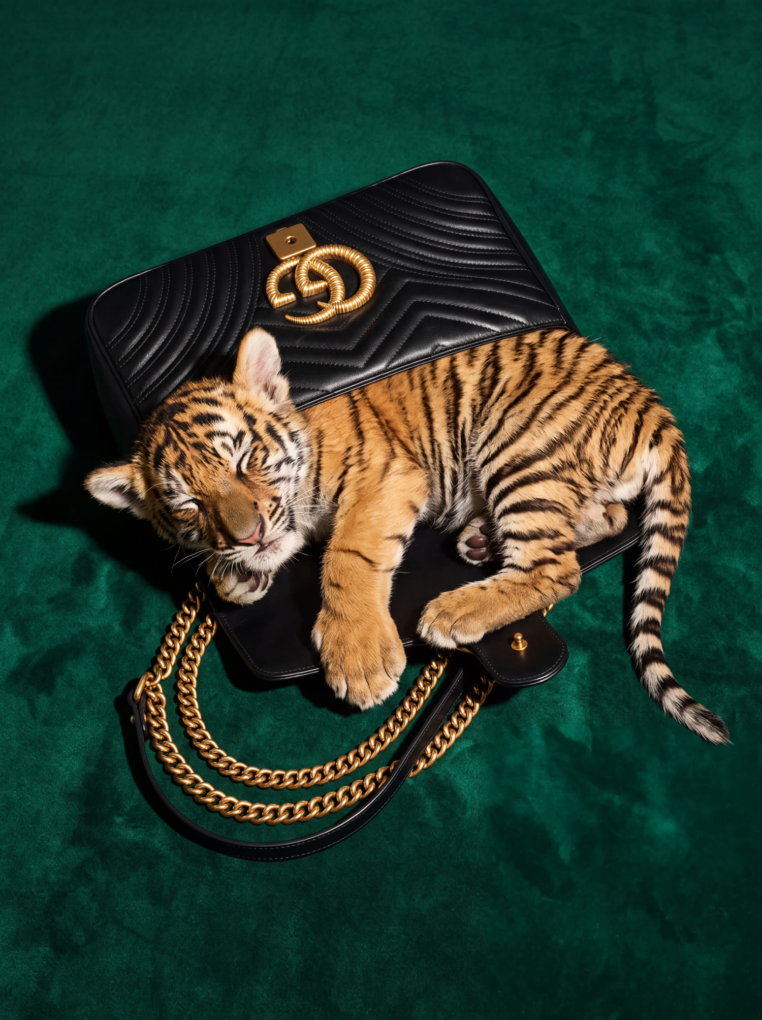 Gucci Marmont, Tiger cub, still